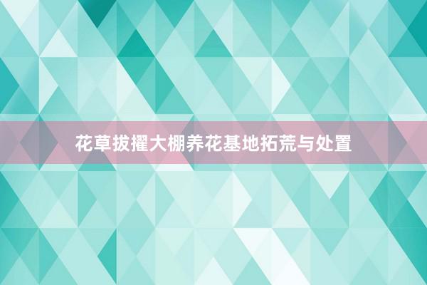 花草拔擢大棚养花基地拓荒与处置