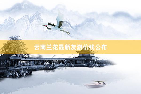 云南兰花最新友游价钱公布