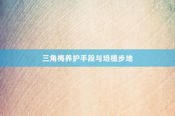 三角梅养护手段与培植步地