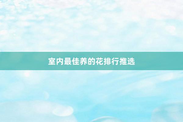 室内最佳养的花排行推选